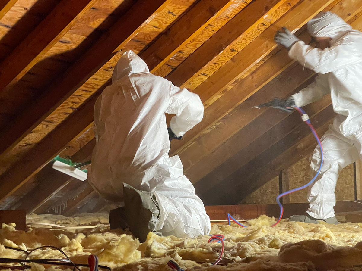 Mold Remediation Services in Brick, NJ
